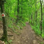 Braov in Focus: A Walking Tour, Hike & Photo Experience - What to Expect: Practical Details and Tips