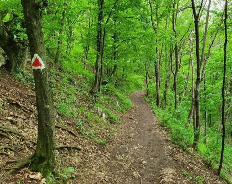 Braov in Focus: A Walking Tour, Hike & Photo Experience - What to Expect: Practical Details and Tips