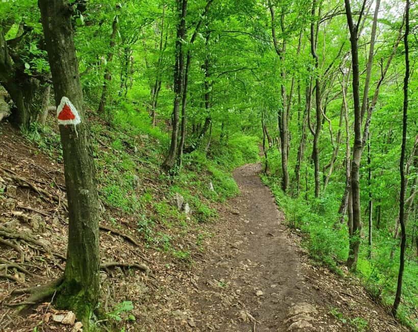 Braov in Focus: A Walking Tour, Hike & Photo Experience - What to Expect: Practical Details and Tips