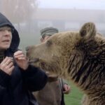 Brasov: Libearty Bear Sanctuary - What Sets This Tour Apart?