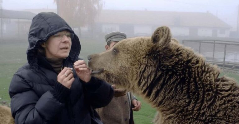 Brasov: Libearty Bear Sanctuary - What Sets This Tour Apart?