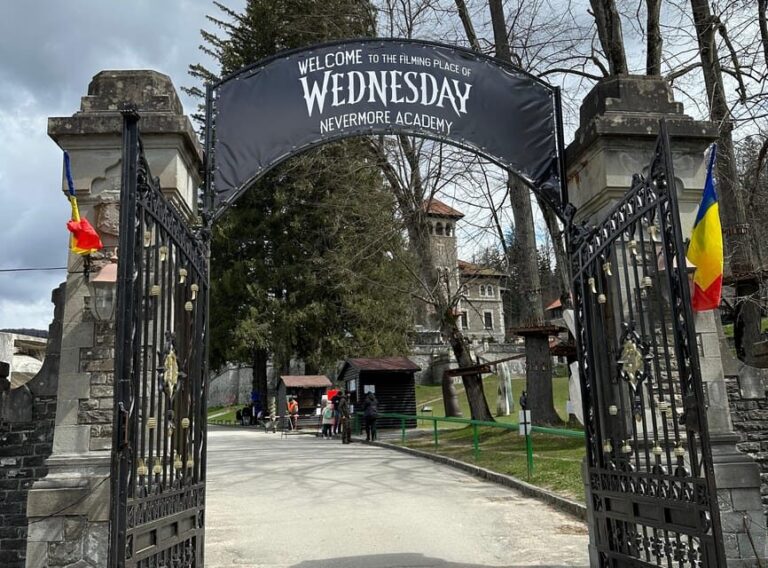 Brasov: Peles and Bran Castles + Nevermore Academy Day Trip - Who Will Love This Tour?