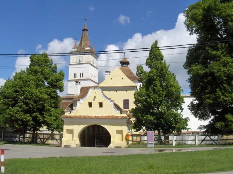 Brasov: Saxon Fortified Churches Day Tour with Guide - What You’ll Love About This Tour