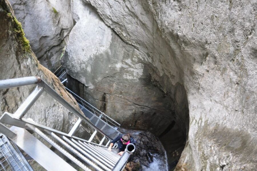 Brasov: Small-Group 7 Ladders Canyon Day Trip - What Makes This Tour Stand Out?