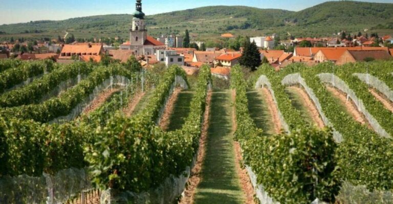 Bratislava: 6,5-Hour Carpathian Wine Tour and Tasting - Who Would Love This Tour?