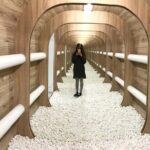 Bratislava: Gallery Multium Entrance Ticket - What Makes the Gallery Special?