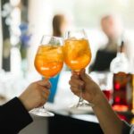 Bratislava: Gourmet Goose Dinner with Cruise on Danube - Who Will Love This Experience