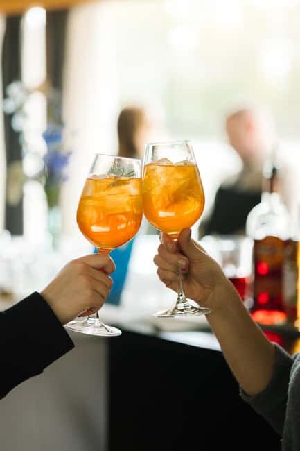 Bratislava: Gourmet Goose Dinner with Cruise on Danube - Who Will Love This Experience