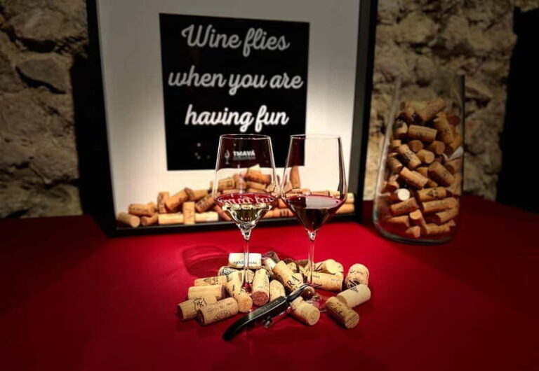 Bratislava: Wine Tasting Experience in the Dark - Why This Tour is a Great Value