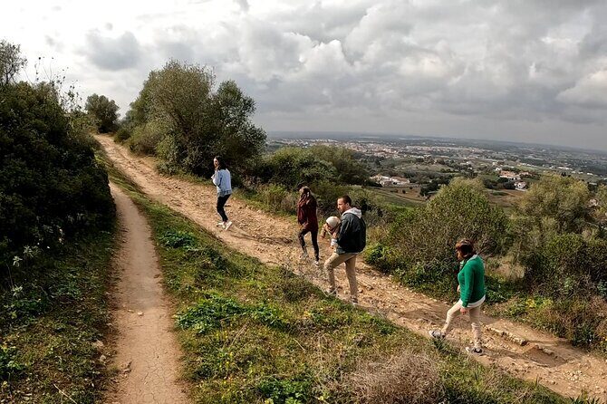 Bread, Wine&Cheese, The Natural Taste - What Past Travelers Say