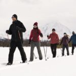 Breivikeidet: Cross-Country Skiing & Husky Visit - What You’ll Really Take Away