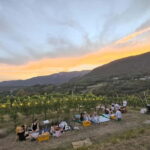 Brescia: Day trip to Botticino, new historical winetasting - What Reviewers Say