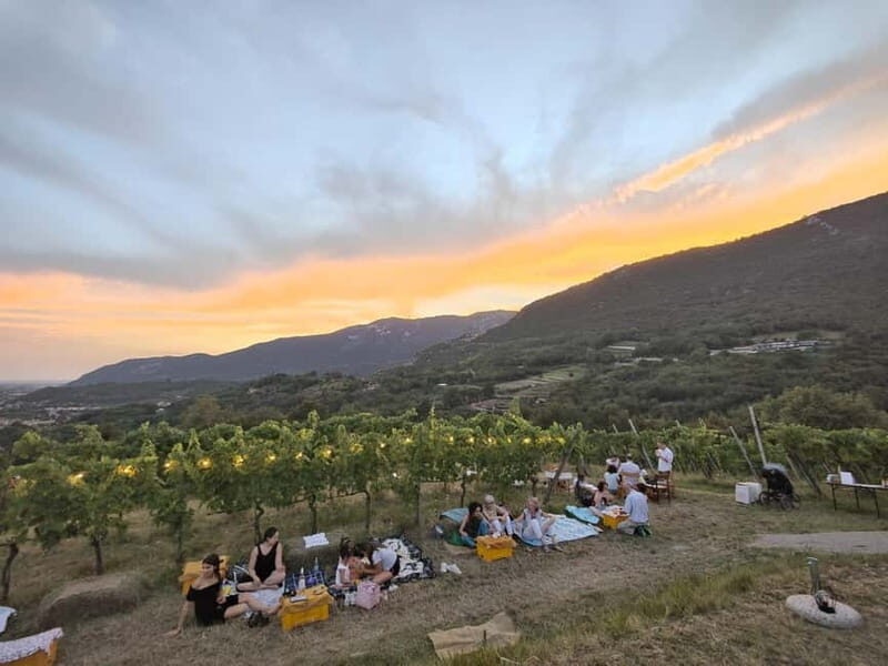 Brescia: Day trip to Botticino, new historical winetasting - What Reviewers Say