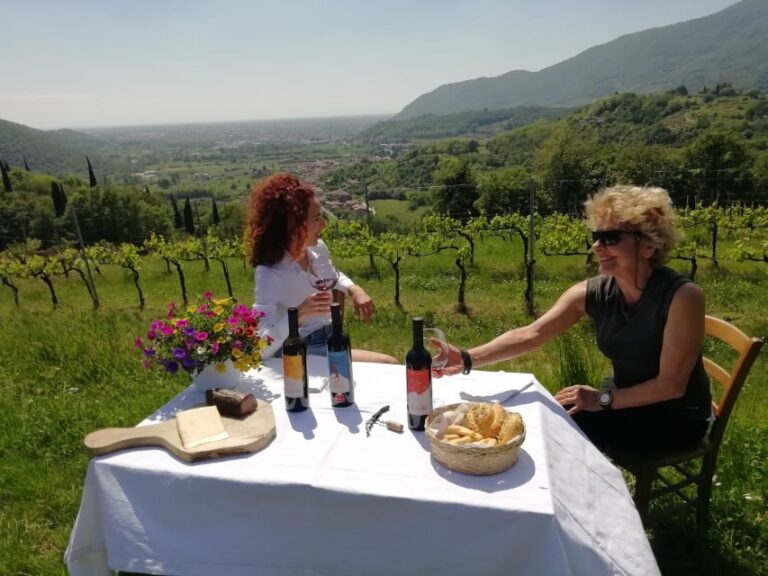 Brescia: day trip to Botticino with wine tasting at Noventa - An Introduction to the Experience