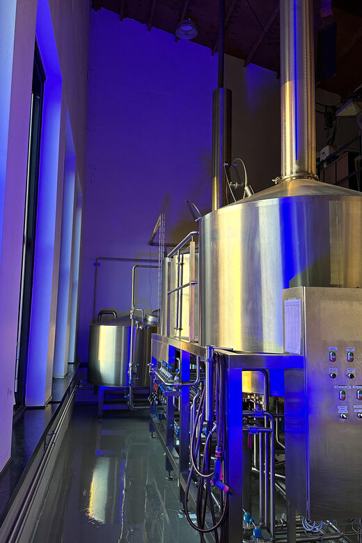 Breugem Meeting Point: Beer tasting - The Experience: Pros and Cons