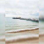 Brighton: Zip Wire Experience Ticket and Transfer - The Price and Its Value