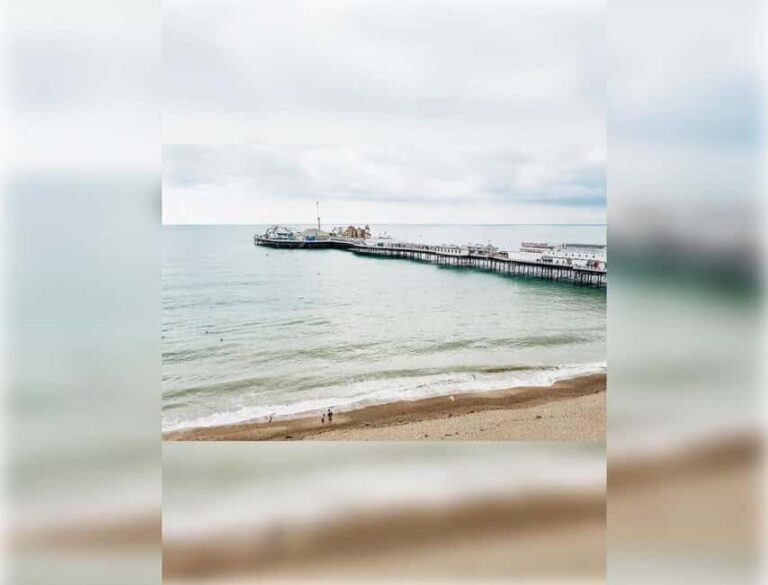 Brighton: Zip Wire Experience Ticket and Transfer - The Price and Its Value