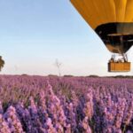 Brihuega: Balloon Flight Above Lavender Fields - What Makes This Tour Special?