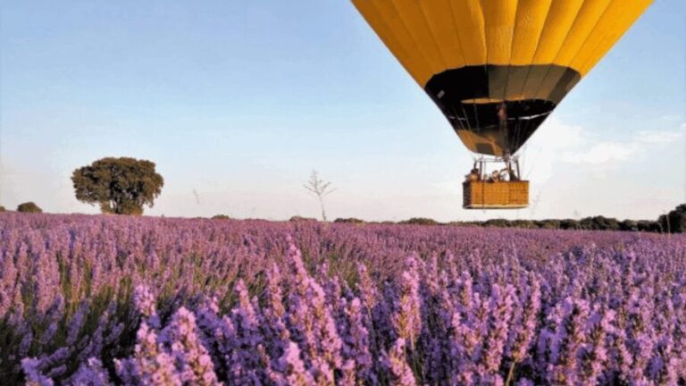 Brihuega: Balloon Flight Above Lavender Fields - What Makes This Tour Special?