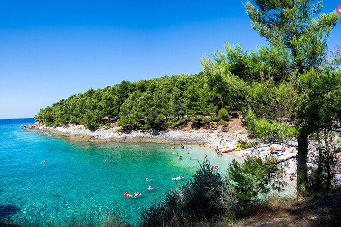 Brijuni Dolphin and Sunset Boat Tour from Pula - Analyzing the Value and Experience