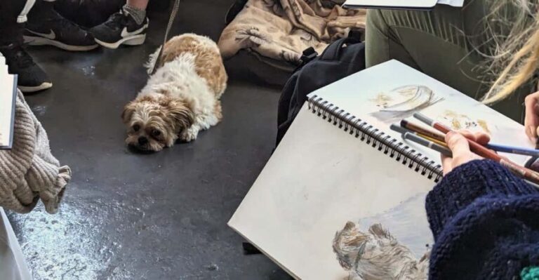 Bristol: Dog Life Drawing led by local Artist Cai Burton - An In-Depth Look at the Bristol Dog Life Drawing Experience