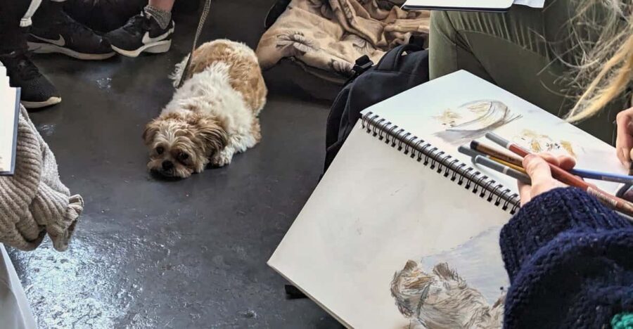 Bristol: Dog Life Drawing led by local Artist Cai Burton - An In-Depth Look at the Bristol Dog Life Drawing Experience