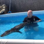 Bristol: Swimming with Crocodiles coffee and cake - The Experience from the Reviews