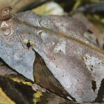 Bristol: Venomous Snake Tour with Reptile Photo - The Itinerary Breakdown