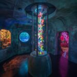 Bristol: Wake The Tiger Amazement Park Entry Ticket - Why It’s Worth the Price