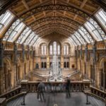 British Museum: Rosetta Stone, Parthenon Sculptures, Egypt - What’s Included and What to Keep in Mind