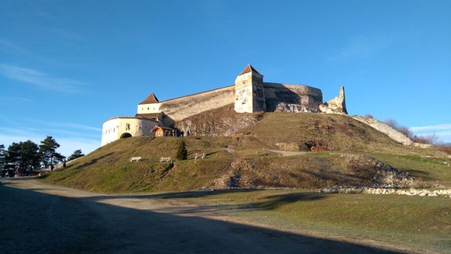 Brown Bear Sanctuary, Bran Castle & Rasnov Fortress Day Tour - An In-Depth Look at the Tour Experience