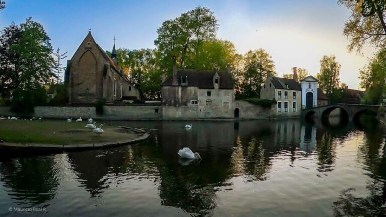 Bruges: Private Historical Highlights Walking Tour - Why This Tour Works for Different Travelers