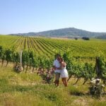 Brunello Vineyards Bus Tour - A Detailed Look at the Brunello Vineyards Bus Tour