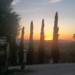 Brunello Wine Tour and Val D'Orcia Landscape - Authenticity and Value