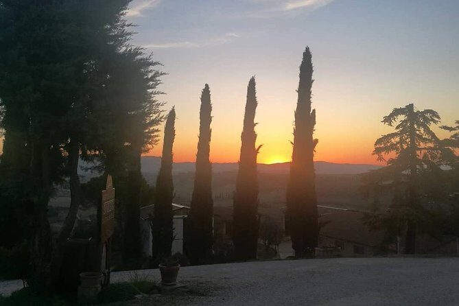 Brunello Wine Tour and Val D'Orcia Landscape - Authenticity and Value