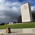 Brussels: Battle of the Bulge Day Tour with Private Guide - Analyzing the Value