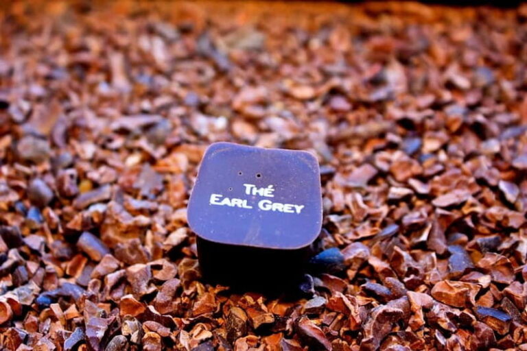 Brussels Beer, Chocolate and Waffle Tour - Who Is This Tour Best For?