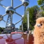 Brussels Day Trip from Paris or Amsterdam by Mini-Van - Analyzing the Value