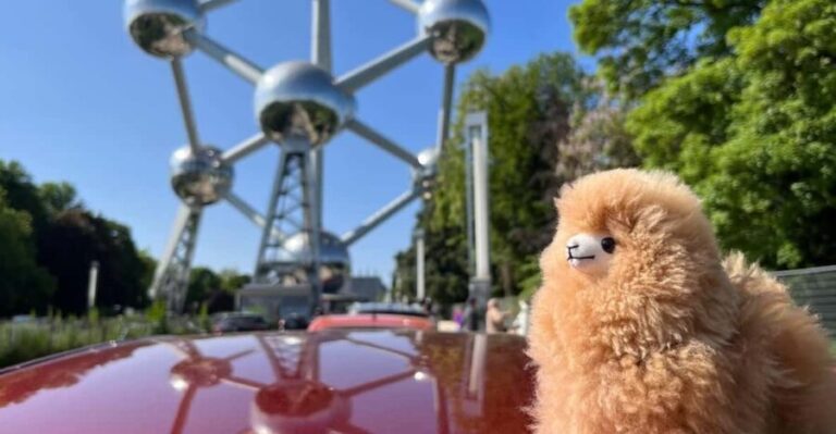 Brussels Day Trip from Paris or Amsterdam by Mini-Van - Analyzing the Value