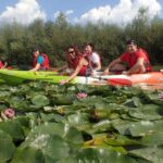 Bucharest: Arges River Kayaking Tour with Transfers - Why This Tour Offers Great Value