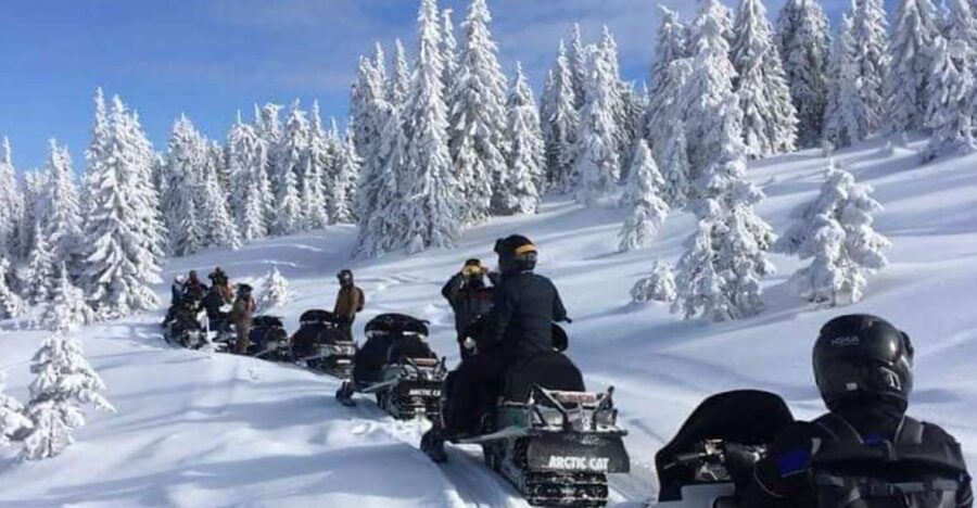 Bucharest: Carpathian Snowmobile Adventure Tour - Practical Details and How to Make the Most of It