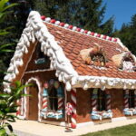 Bucharest: Magic Park & Bear Sanctuary Day Trip - Final Thoughts