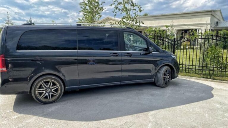 Bucharest Panoramic City Tour & Street Food - Street Food and Culinary Highlights