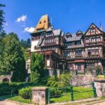 Bucharest: Peles Castle, Bran Castle, & Brasov Full-Day Tour - Who Will Love This Tour?