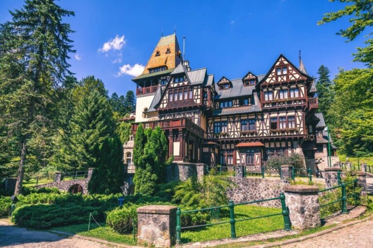Bucharest: Peles Castle, Bran Castle, & Brasov Full-Day Tour - Who Will Love This Tour?