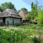 Bucharest: Private City Tour Guided Experience - The Value of a Private Guided Tour