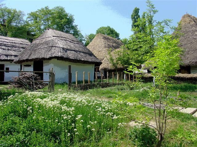 Bucharest: Private City Tour Guided Experience - The Value of a Private Guided Tour