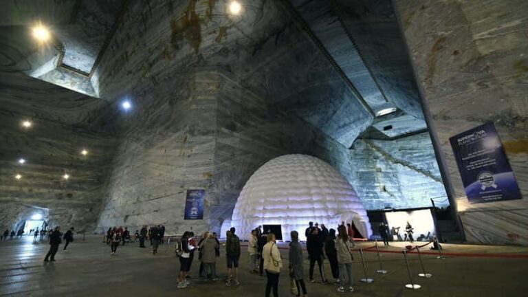 Bucharest: Slanic Salt Mine & Dracula' s Tomb - Private Tour - Cost and Value Analysis