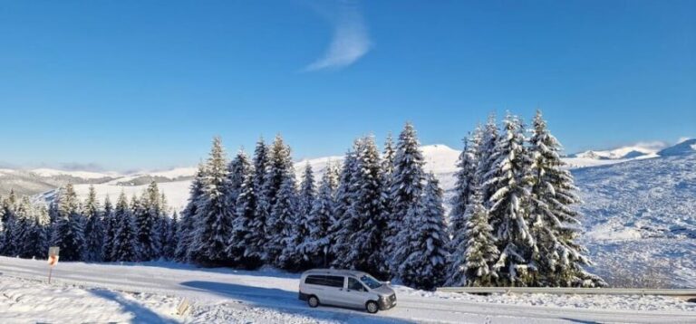 Bucharest: Snowmobile Tour with Pele Castle and Cable Car - Practical Details and Tips