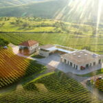 Bucharest: Taste the Magic of Wine in Romanias Tuscany - What We Loved About This Tour